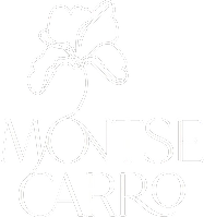 Montse Carro Beauty logotipo